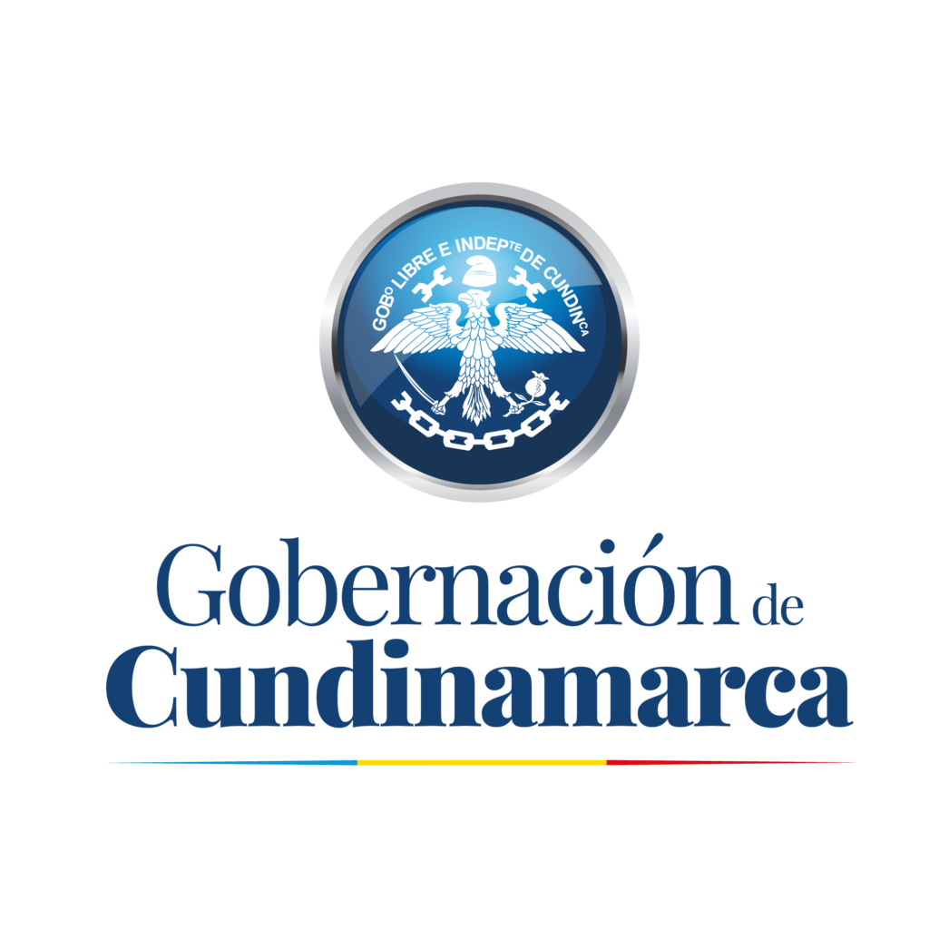 entidad-13